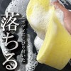Industrial Acid Car Shampoo Pollen or 黄砂 Falling Down, Bird