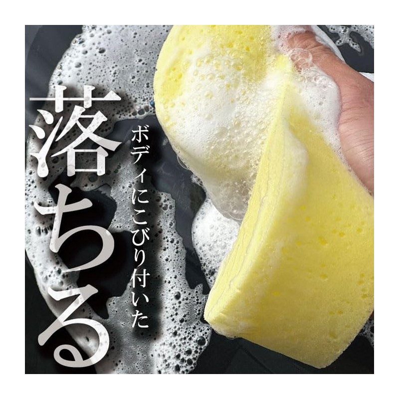 Industrial Acid Car Shampoo Pollen or 黄砂 Falling Down, Bird