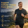 R-Alpha Lipoic Acid 600mg for Nerve Health & Energy Metabolism