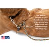 The Walkie No Pull Dog Leash - Gentle, Effective, Encourages