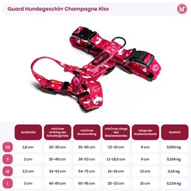 Helltails Dog Harness for Small Dogs, No Absorb, Adjustable Chest Harness, Anti-Pull Y Harness, Dog Small with Control, Classic Lightweight Dog Harness, Dog Harness, Champagne Kiss, S