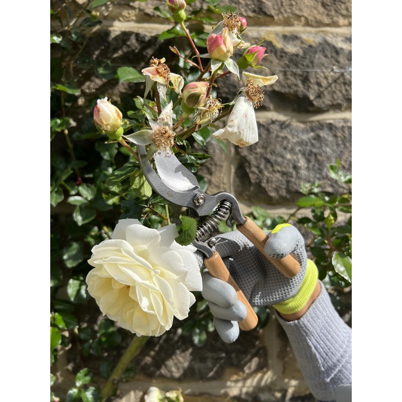 Spear & Jackson ECOSGLOVESKEW Kew Gardens Collection Eco-Kind Gardening Gloves