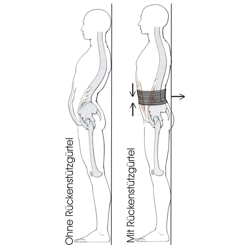 Bauch und Rückenstützgürtel Bauchweggürtel Gr. 2 (Taillenumfang 90-110 cm)