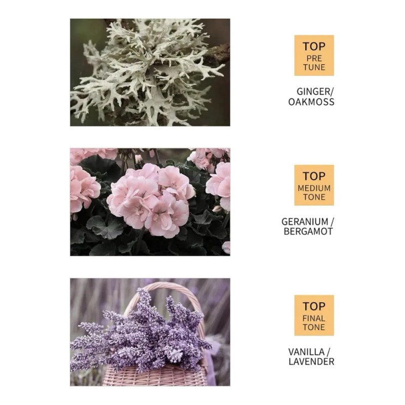 Suero De Jengibre Para El Crecimiento Del Cabello