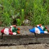 Funny Garden Gnome – Resin Gnome Statue, Whimsical Yard Decor