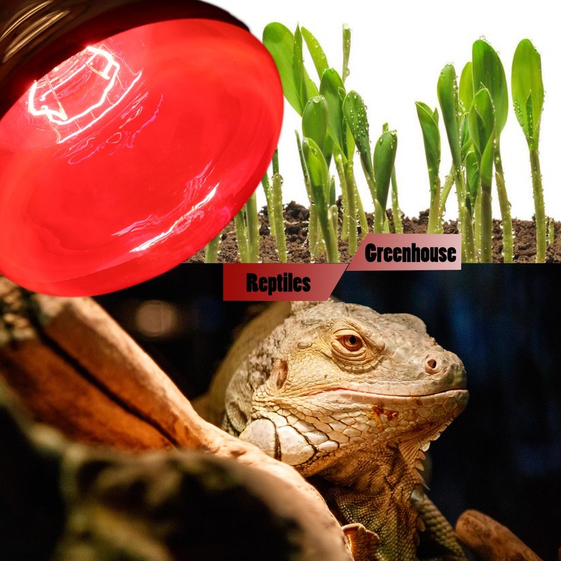 250 Watts Infrared Heat Lamp Bulbs, R40 Red Heat Light