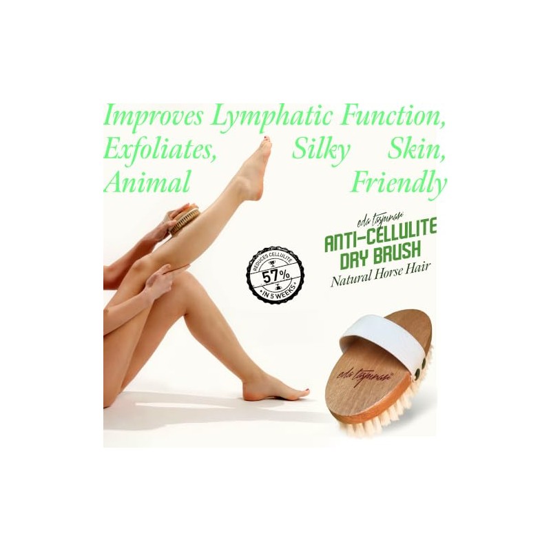 Eda Taspinar Horse Hair Brush 100 Natural Horsetail Bristle For