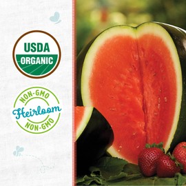 Back to The Roots 100% Organic Seed Packet - Watermelon 'Sugar Baby' 1.7g