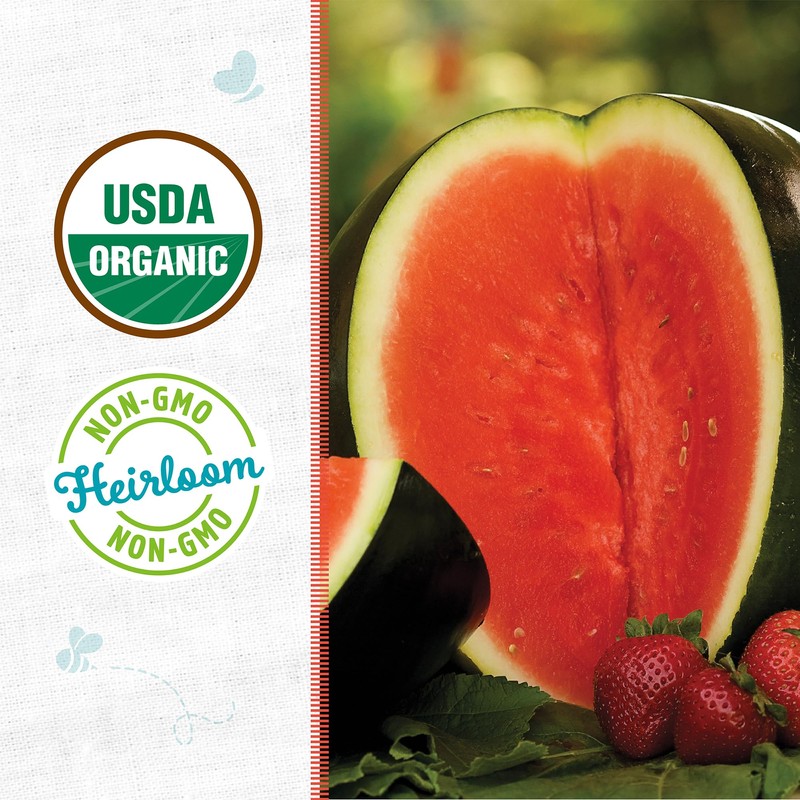 Back to The Roots 100% Organic Seed Packet - Watermelon