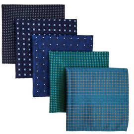 Shlax&Wing 5 Pieces Assorted Men's Handkerchiefs Set - l