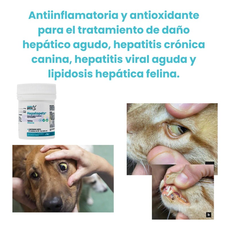 Hepatopets De Aranda Pets Frasco Con 60 Tab Pa Perro