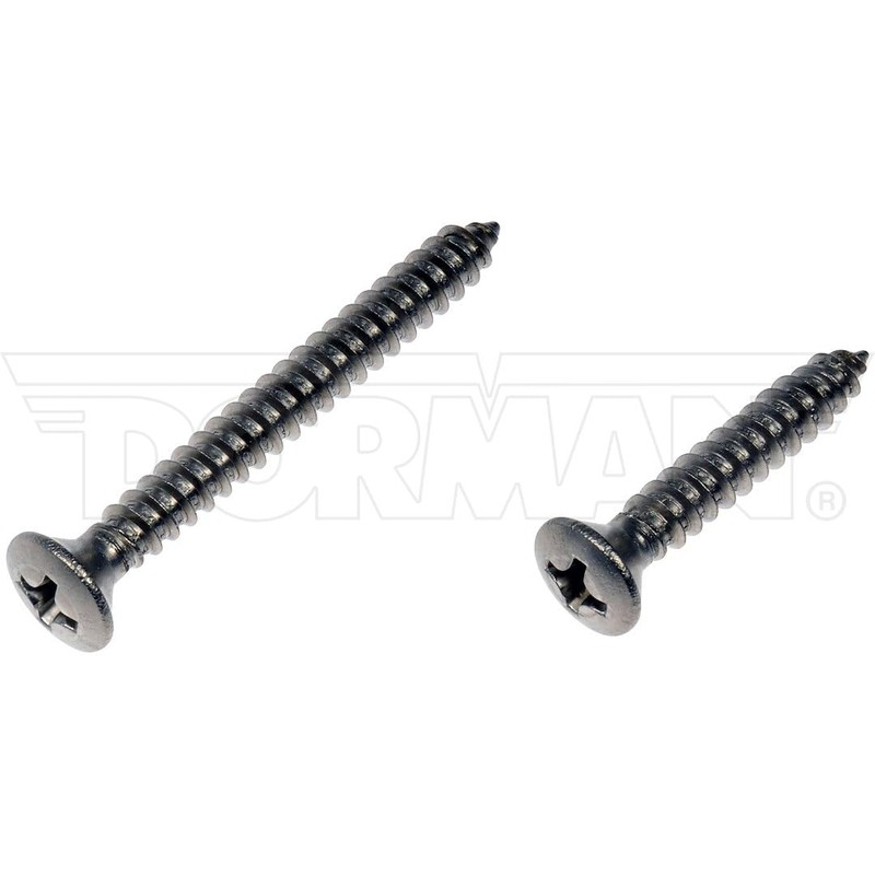 DORMAN Stainless Steel Oval Head Screw