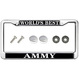 World's Best Universal US CA Car License Plate Frame Woman's Day Gift Stainless Steel Car Licence Plate Covers Woman's Day Gift Car Accessories License Plate Frame Cute