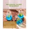 Venus Fly Trap, Grow Your Own Venus Flytrap in a