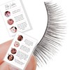 False Lashes How To Apply Card | 30 Pack |