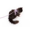 LucyBalu® Explorer Cat Harness with Lead, Escape Proof Cat Harness