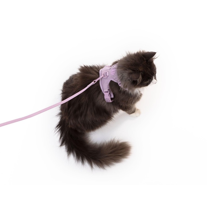 LucyBalu® Explorer Cat Harness with Lead, Escape Proof Cat Harness