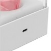 Rose Night Light Romantic Small USB Charging Soft Brightness Decoration