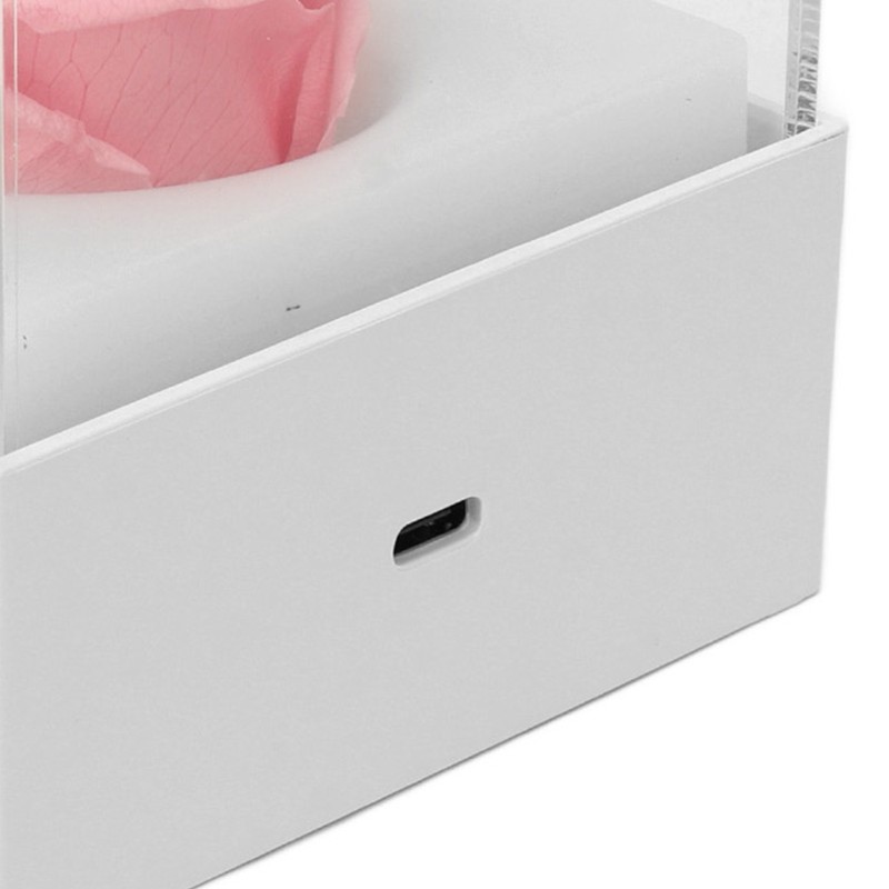 Rose Night Light Romantic Small USB Charging Soft Brightness Decoration