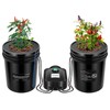 VIVOSUN DWC Hydroponics Grow System with Top Drip Kit, 5-Gallon