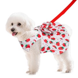 hoyuwak Small Dog Dress Red Strawberry Pet Clothes for Girls Bowtie Puppy Summer Princess Dress Dog Cat Outfits with Harness for Birthday Outdoor Party Play