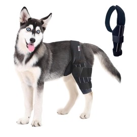 Dog Knee Brace, Hip Displaysia Dog Support Brace, Dog ACL Brace Hind Leg, Dog ACL Knee Brace, Dog Knee Brace for Luxating Patella, ACL Brace for Dogs Rear Leg, Dog Hip Support brace (S - Right)