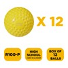 Furlihong 12-Inch Sting-Free Dimpled Training Softballs for 6902BHA Toss Machine,