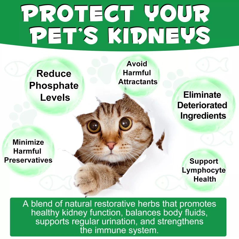 Oimmal Kidney Support for Cats Liquid Supplement Supports Healthy Kidney