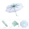 Fdit 1 x Printed Cherry Blossom Pattern Transparent Folding Umbrella,