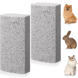Pack of 2 Pumice Stone Pet Hair Remover for Pets Carpet and Furniture Couch