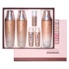 Danahan Bonyeonjin 2 types of sap double special set/sap 2+emulsion
