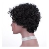 generic Pelucas De Duendecillo De Peluca Rizada Grande De Cabello