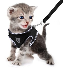 FEimaX Dog Harness and Leash Set for Walking, Soft Mesh Adjustable Easy Control Lightweight Cat Vest Harnesses with Reflective Strips, Escape Proof Small Dogs Cats Vests (Cowblack, X-Small)