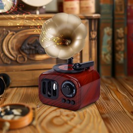 ZLLkeji Music Box Retro Turntable Wind-Up Music Box Girls Gift for Christmas, Birthday