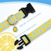 PREHAI Cute Cotton Dog Collar for Boy and Girl Dogs