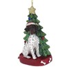 German Shorthaired Pointer With Resin Christmas Tree Ornament For Personalization