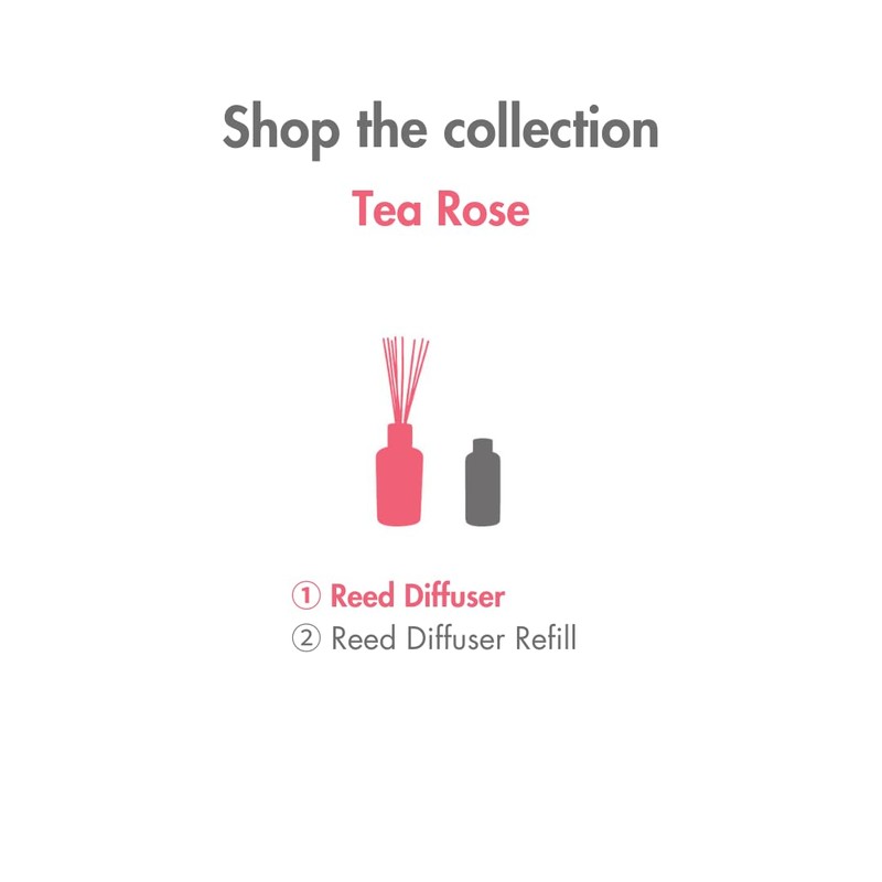 Ashleigh & Burwood Duftstäbchen-Diffusor, 150 ml, Geschenkset – Tea Rose