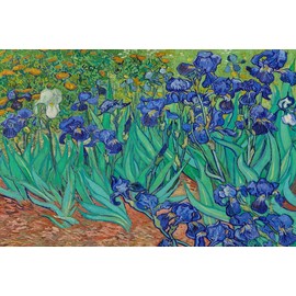 Mini Wooden Jigsaw Puzzle for Adults - Irises by Vincent Van Gogh, 50 Unique Wooden Pieces by Nautilus Puzzles