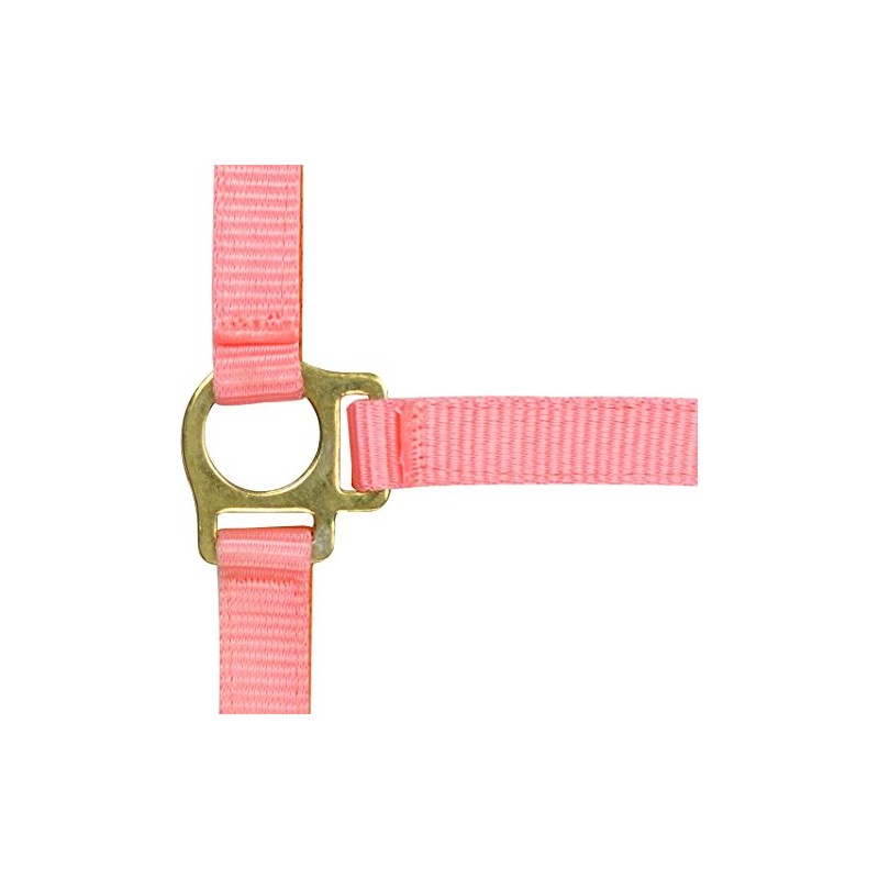 Unbekannt Nylon Equi Economy Pack, Pink