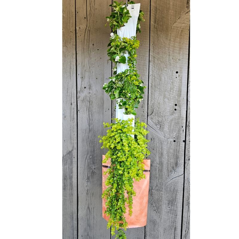 GrowMesh Stand & Hydroponic Garden 16 plant