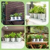 Herb Planter Indoor | Grow Fresh Herbs At Home |