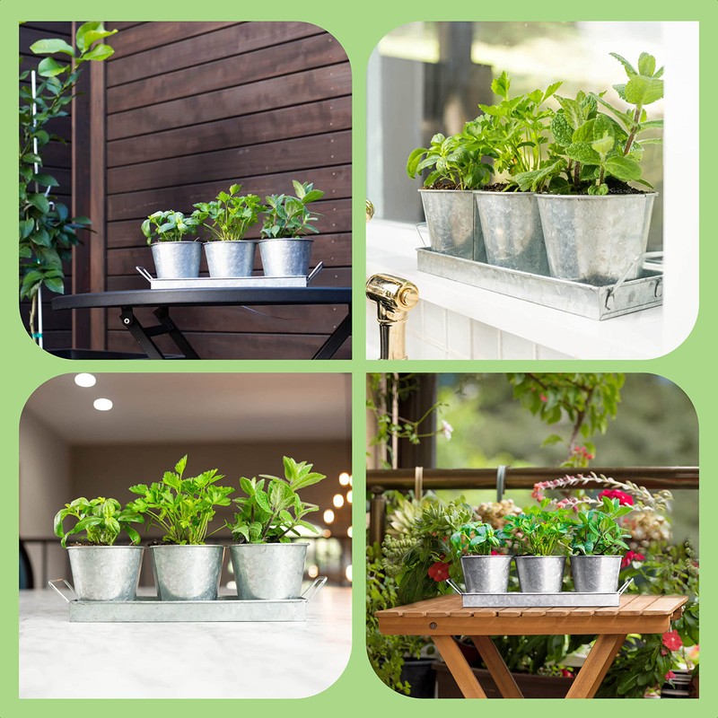 Herb Planter Indoor | Grow Fresh Herbs At Home |