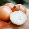Onion Seeds (Long Day) - Yellow Sweet Spanish - 1