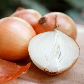 Onion Seeds (Long Day) - Yellow Sweet Spanish - 1 Ounce - Vegetable Seeds, Heirloom Seed, Open Pollinated Seed Root Vegetable, Container Garden