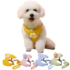 CLOGRATIA Chihuahua Harness, Puppy Harness, Lead, Small Dogs, Toy Poodle, Collar, Walks, Easy to Put on and Take Off, Stylish (Green, M)