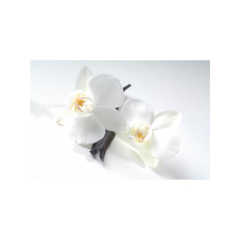 milk_shake No Frizz Allowed Perfecting Shampoo 300ml