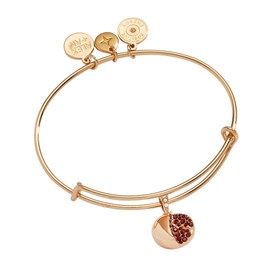 Alex and Ani Pomegranate Bangle
