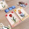 Tulip Bubble Tulip Bubble Japanese Edition | Moaideas Game Design