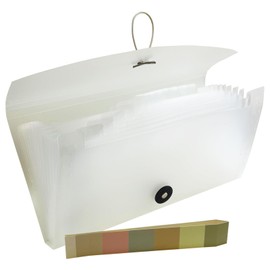 Small Accordion File Organizer - 13 Pocket Expanding Folder for Receipts, Bills, and Envelopes - Money Saving Binder (White)