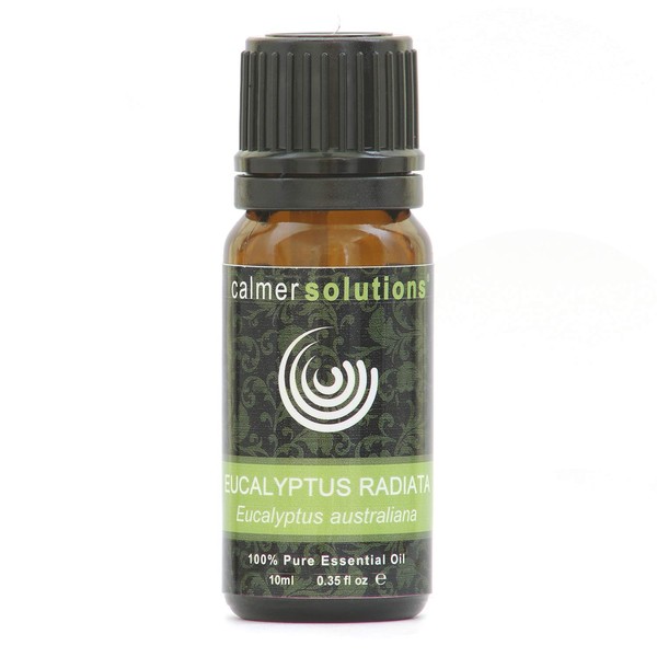 Eucalyptus Radiata 100% Essential Aromatherapy Oil 10ml
